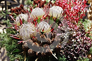 Flower arrangement background