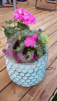 Flower arrangement in blue pot