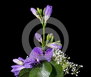 Flower arrangement of a blue vanda