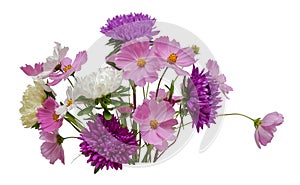 Flower arrangement bouquet of white purple asters and pink white cosmos isolated on white background