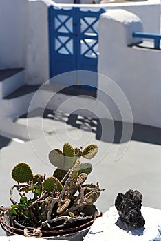 A flower arrangement with a cactus and a volcanic stone in the courtyard of traditional Greek house.