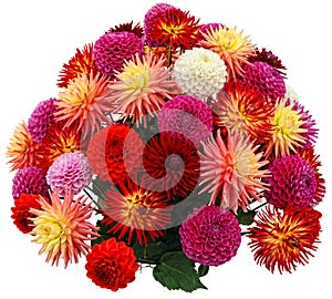 Flower arrangement of chrysanthemums and dahlias