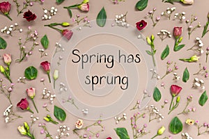 Colorful Spring Flower Arrangement With Roses, English Text Spring Has Sprung photo