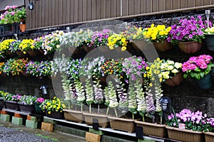 flower arrangement in flower bed