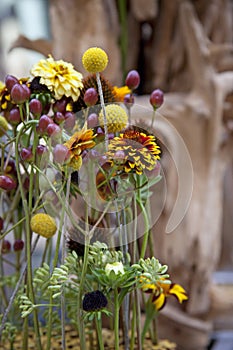 Flower arrangement