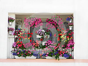 How to create a beautiful flower garden in the balcony