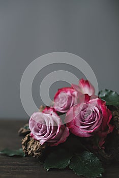 Flower arrangement of pale pink roses with a driftwood on a wooden table under falling snow on a gray background.