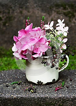 Flower arrangement with pink purple hydrangea flower and black elderberries plant in a rustic white enamel cup