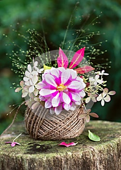 Flower arrangement with pink, white dahlia, hydrangea flowers, grass and autumn leavers in a skein of jute twine.