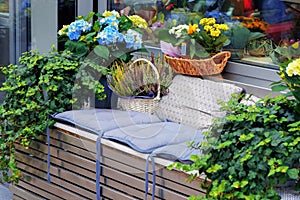 Flower arrangement with potted plants of hydrangea, ivy and heather at the entrance to flower shop in European city