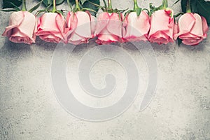 Flower arrangement - a row of pink roses on a concrete surface, template for design or greeting card, place for text