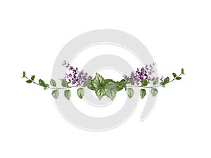 Flower arrangement. Sage flowers and green leaves isolated on white background. Wedding design element. Festive flower