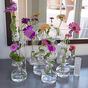 Flower arrangement, some colorful zinia in small glass vases