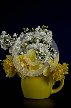 flower arrangement of yellow daffodils and white Arabis Caucasica in a yellow cup on a black background