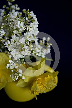 flower arrangement of yellow daffodils and white Arabis Caucasica in a yellow cup on a black background