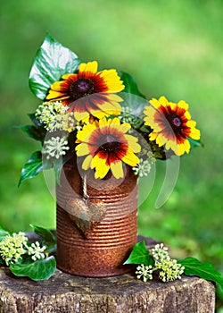 Flower arrangement with yellow and orange globular or Black Eyed Susan flowers and ivy blossom in rusty tins with rustic heart