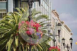 Flower arrangements hanging on illumination posts, San Jose, California