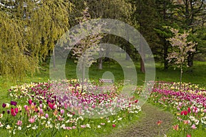 Flower arrangements in a public park in Gothenburg, Sweden