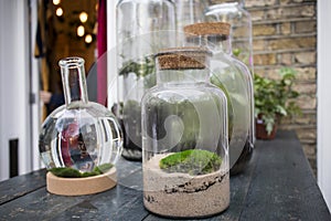 Flower arrangements for sale in a flower shop.