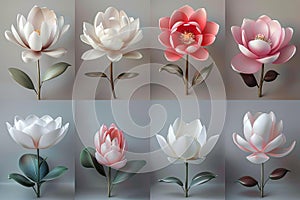 flower art collections at your wall