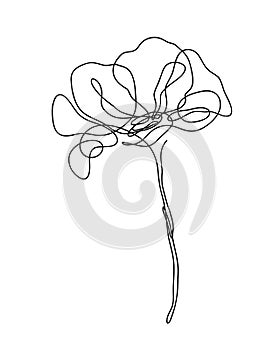 Flower art vector. Minimalist line drawing with a poppy flower for tattoo, prints, posters, cards, banners, flyers