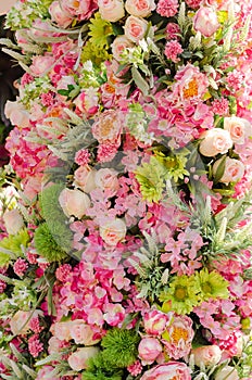 Flower on backdrops wall