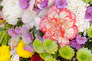 Flower on backdrops wall