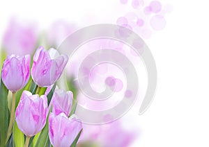 Flower Background