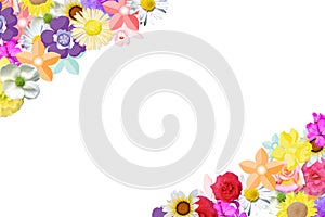 Flower Background