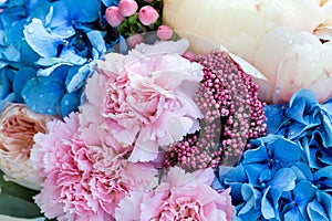 Flower background with amazing pink carnations. Bouquet of gentle carnation flowers