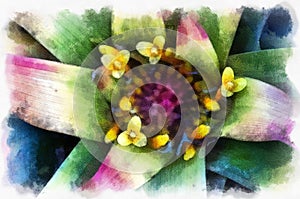 Flower background, Art element. Watercolor.