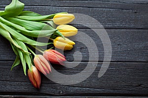 Flower background for a card to the International Women`s Day or victory day on 9 may. Tulips on a black wooden background