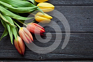 Flower background for a card to the International Women`s Day or victory day on 9 may. Tulips on a black wooden background