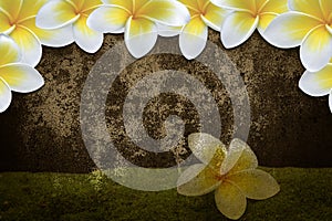 Flower background frame/ border