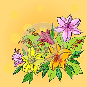 Flower background, lily and mine