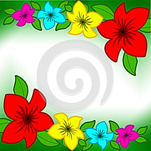 Flower background narcis