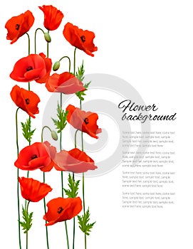 Flower background with poppies.