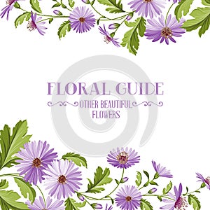 Flower background with violet flowers.