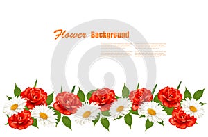 Flower Background With White Daisy and Red Roses.