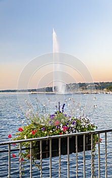 Flower basket and fountain Jet d`eau in Geneva, Switzerland