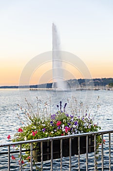 Flower basket and fountain Jet d`eau in Geneva, Switzerland