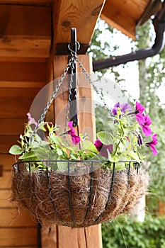 Flower basket hang close up photo