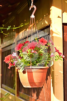 Flower basket hanging on the wall of wooden cabin
