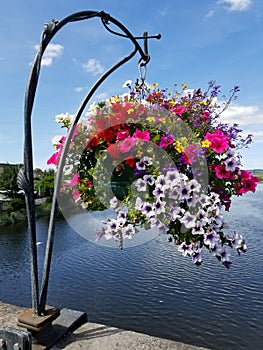 Flower Basket over the River