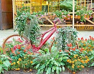 Flower In Basket Of Vintage Old Bicycle near Vintage Wooden Summer Street Cafe