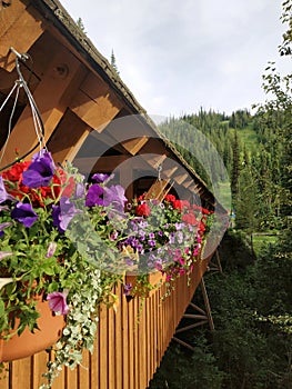 Flower baskets hanging outside of wooden pedestrian covered bridge. Sun Peaks, BC, Canada