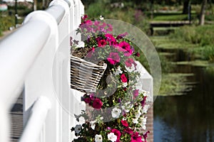 Flower baskets hanging on the railing of a bridge