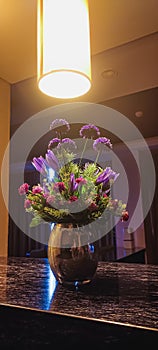 Flower beatiful ligh room colour photo