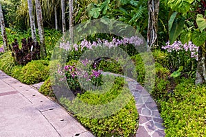 Flower bed in the Botanical Gardens, SIngapore