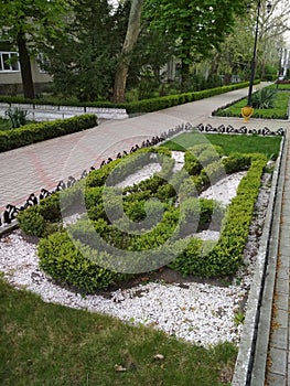 Flower bed in sanatorium Odesa in Odessa, Ukraine photo